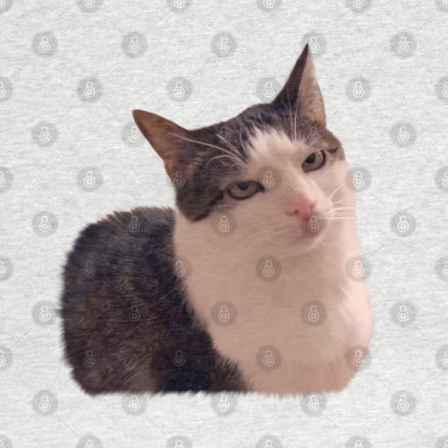 Sarcastic cat rolling eyes meme by PrimeStore